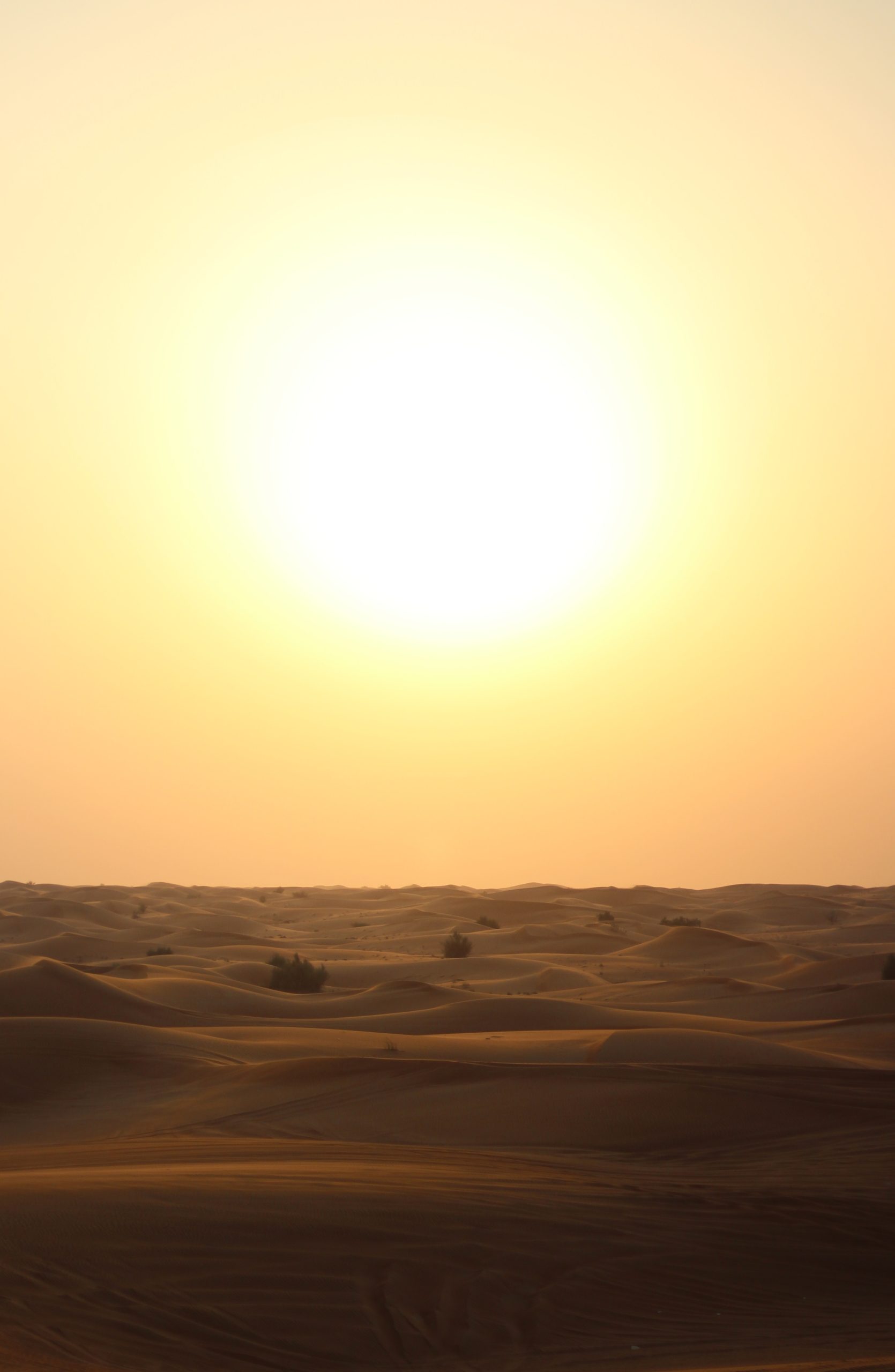 desert-sun Desert Sun