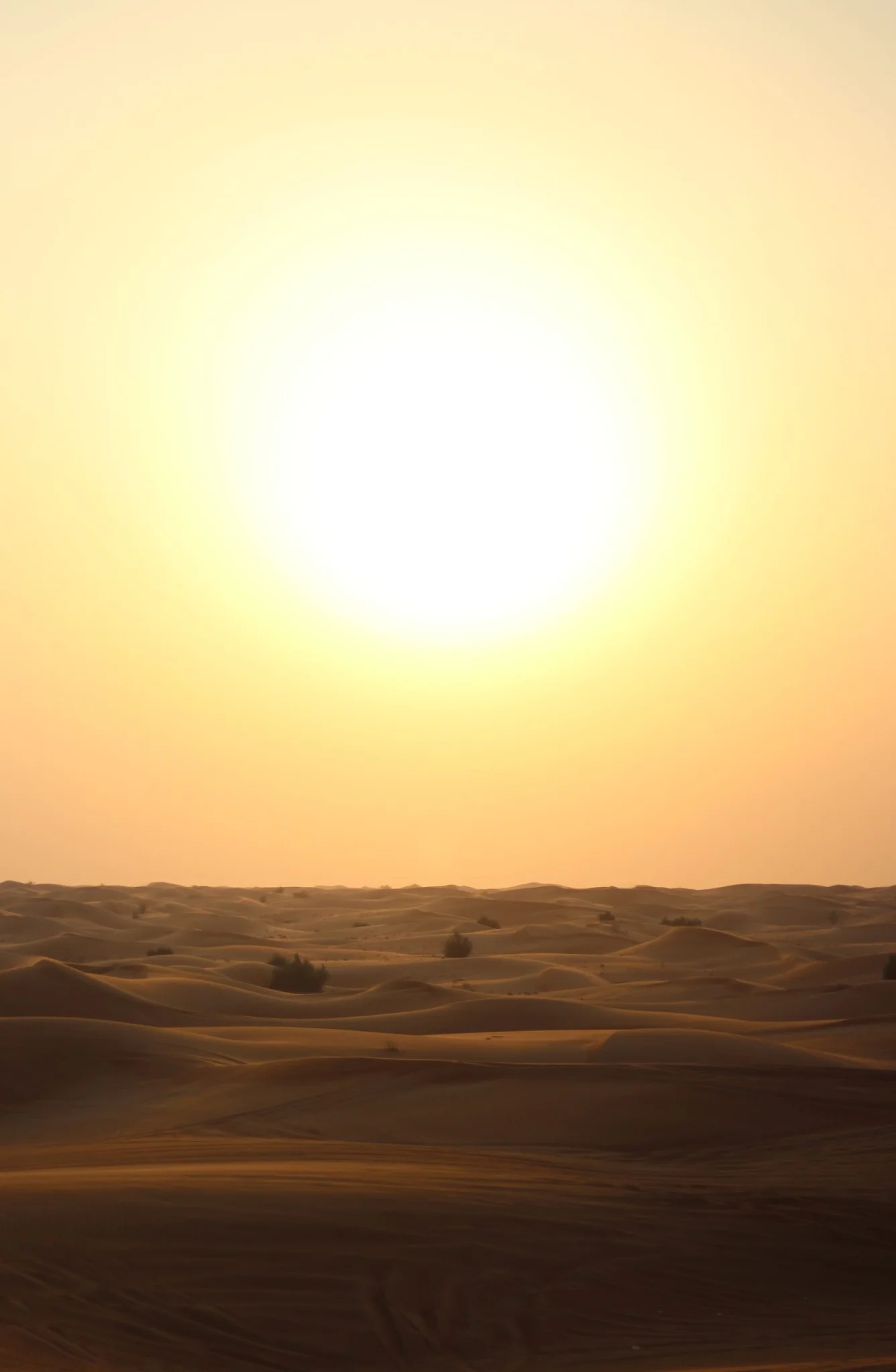 Desert Sun